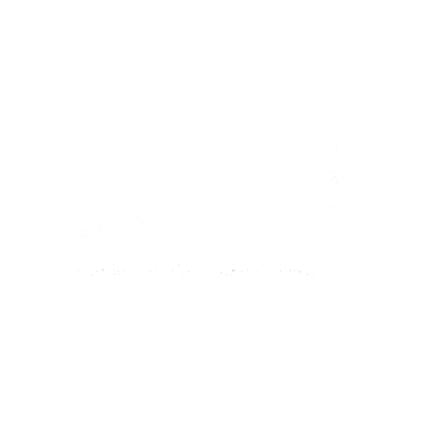 Aegis Customer Support